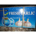 Regelmatige export voor Fresh Normal White Garlic
